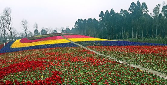 尊龙凯时 - 人生就是搏!